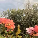 Iriti's & Dahlia *