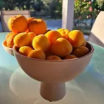Iriti's & Dahlia Вилла *