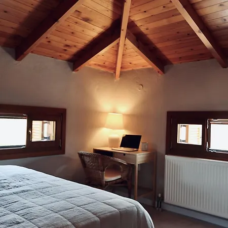 Iriti's & Dahlia * Πλατανίδια