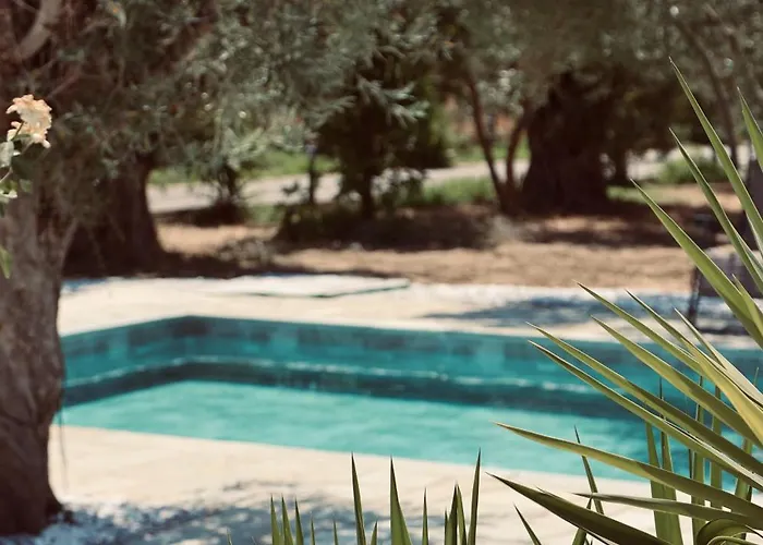 Iriti's & Dahlia Πλατανίδια