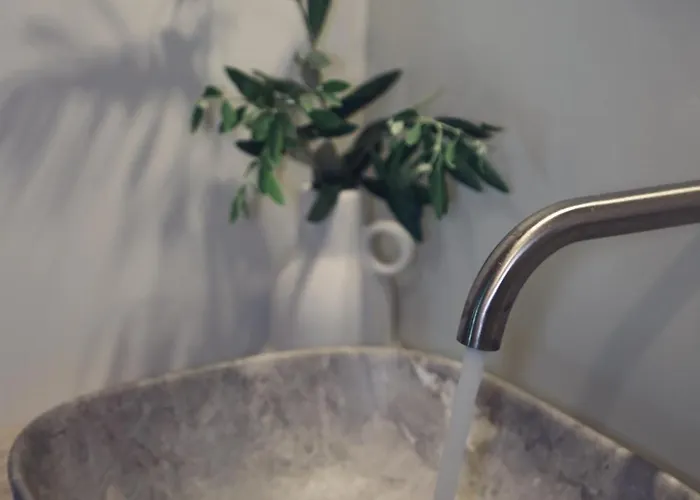 Villa Iriti's & Dahlia *