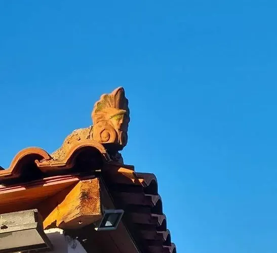 Iriti's & Dahlia Βίλα Πλατανίδια