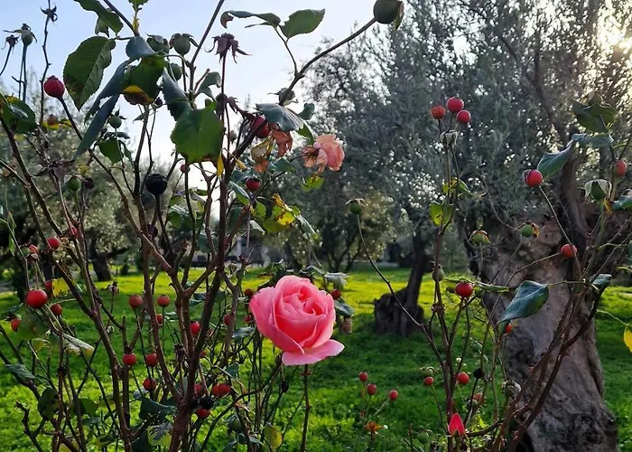 Iriti's & Dahlia Βίλα *