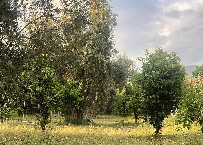 Βίλα Iriti's & Dahlia