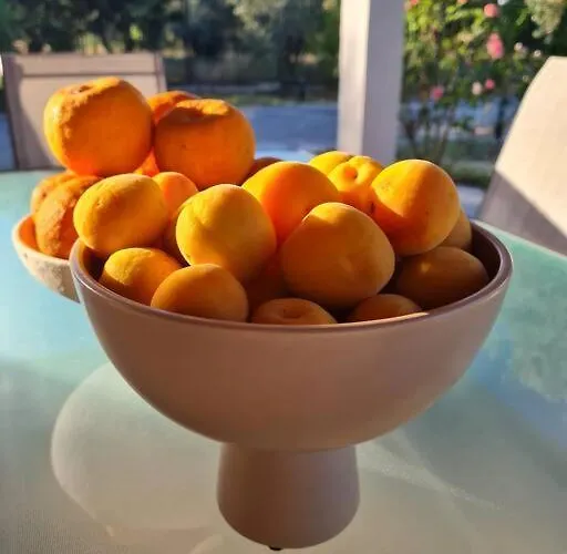 Iriti's & Dahlia Βίλα *