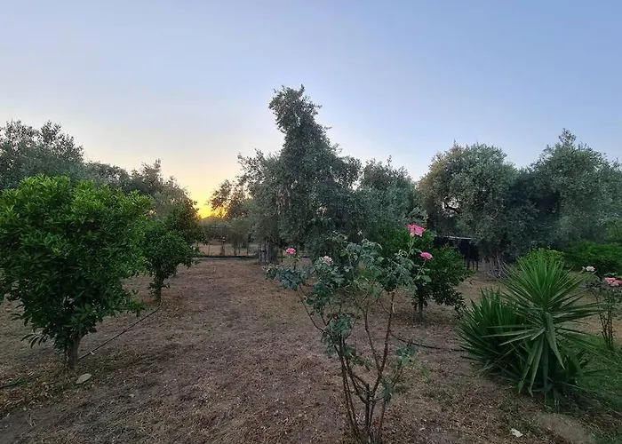 Iriti's & Dahlia Βίλα *