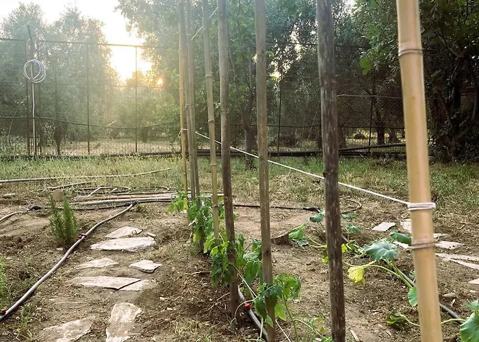 Βίλα Iriti's & Dahlia *