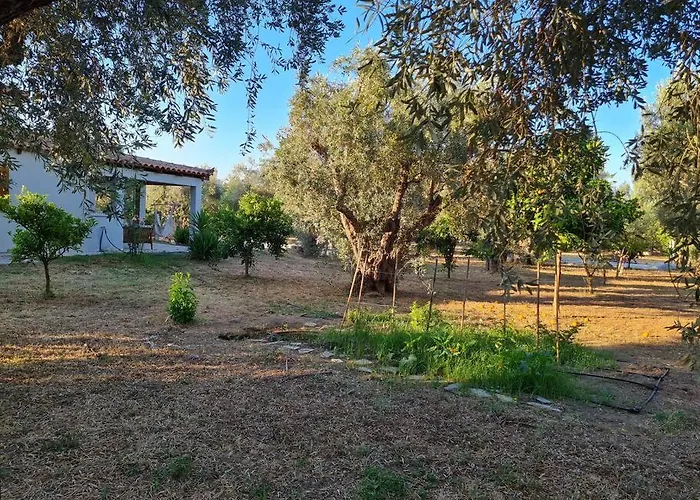 Iriti's & Dahlia Πλατανίδια